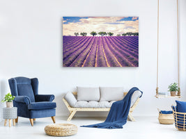 canvas-print-the-lavender-field-ii