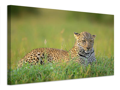 canvas-print-the-leopard-x