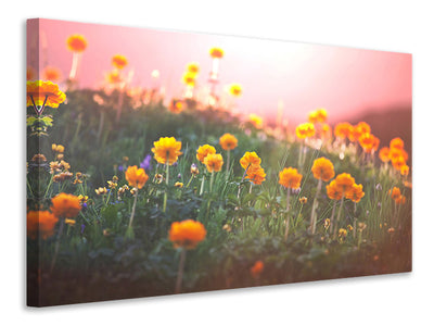 canvas-print-the-mountain-meadow