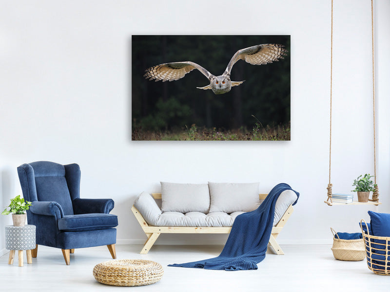 canvas-print-the-owl