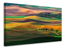 canvas-print-the-palouse