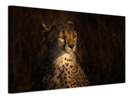 canvas-print-the-portrait-of-a-cheetah-x