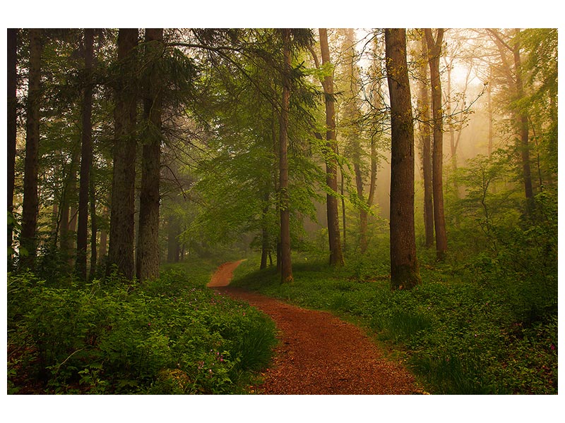 canvas-print-the-red-path-x