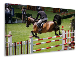 canvas-print-the-show-jumper