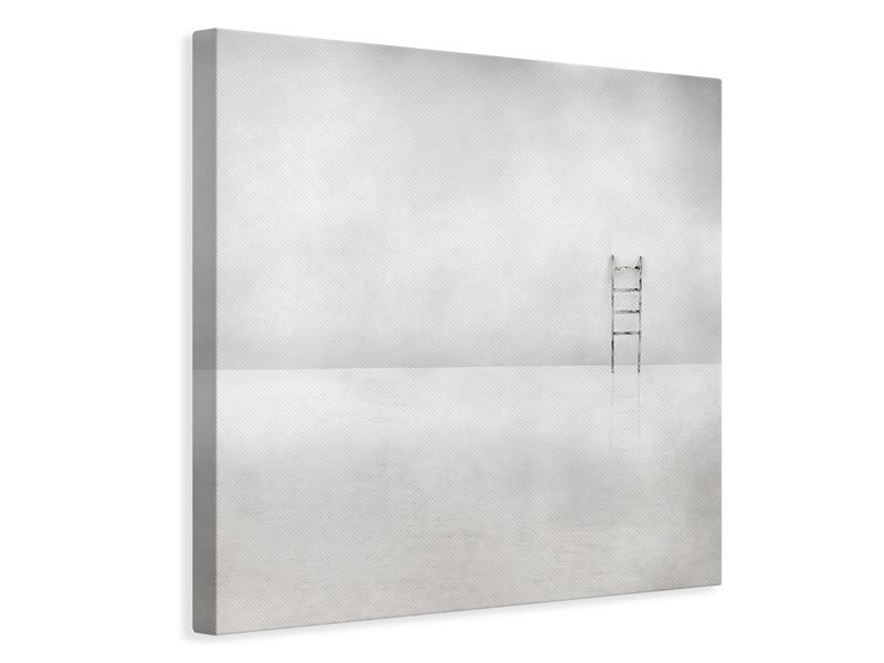 canvas-print-the-social-ladder-x