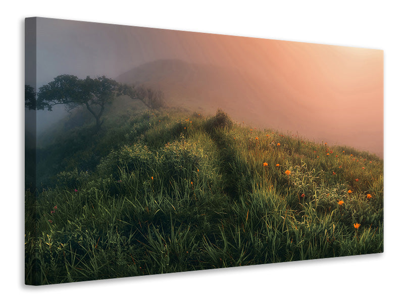 canvas-print-the-story-of-the-foggy-morning