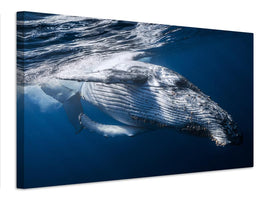 canvas-print-the-whale-x