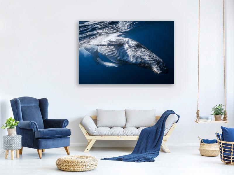 canvas-print-the-whale-x