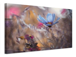 canvas-print-things-that-flowers-tell-x