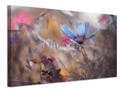 canvas-print-things-that-flowers-tell-x