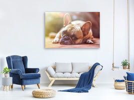 canvas-print-tired-bulldog