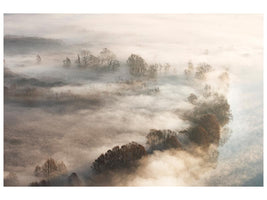 canvas-print-trees-in-the-fog-x