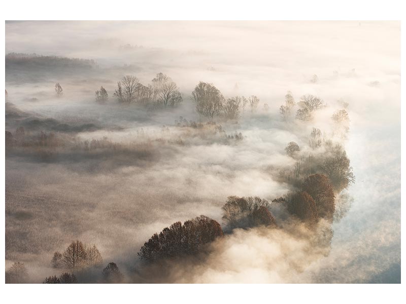 canvas-print-trees-in-the-fog-x