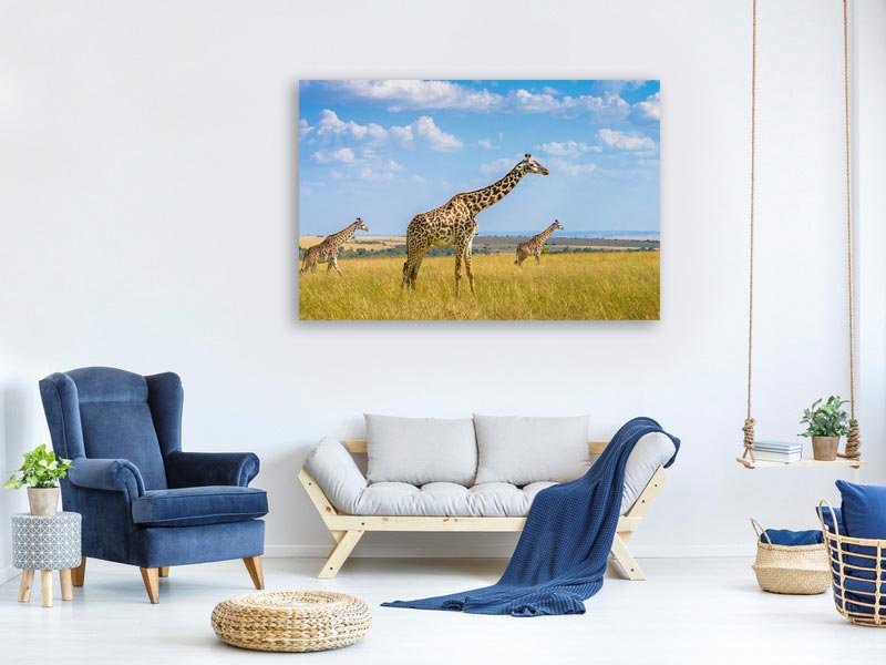 canvas-print-trio-giraffes-x