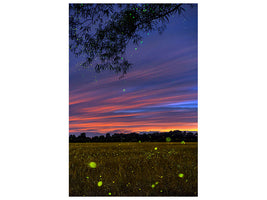 canvas-print-twinkle-twinkle-little-star