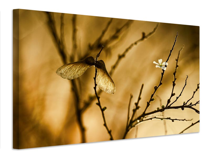 canvas-print-un-altra-storia-x