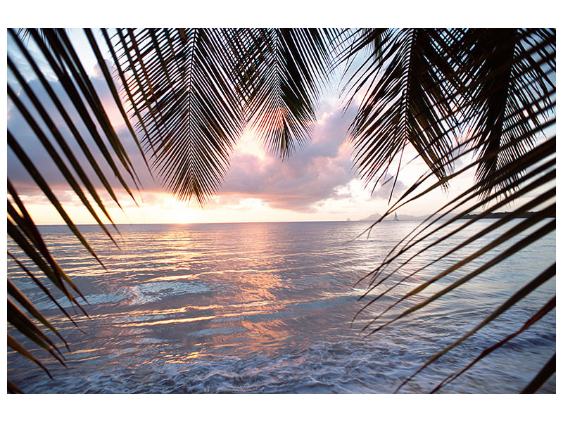 canvas-print-under-palm-leaves