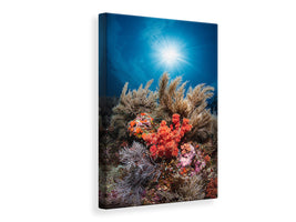 canvas-print-underwater-life