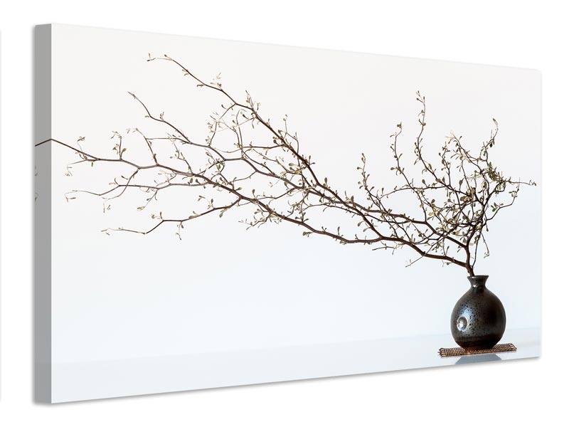 canvas-print-vase-and-branch-x