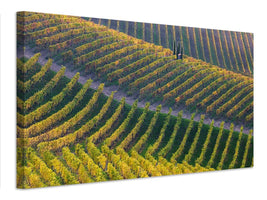 canvas-print-vineyards-x