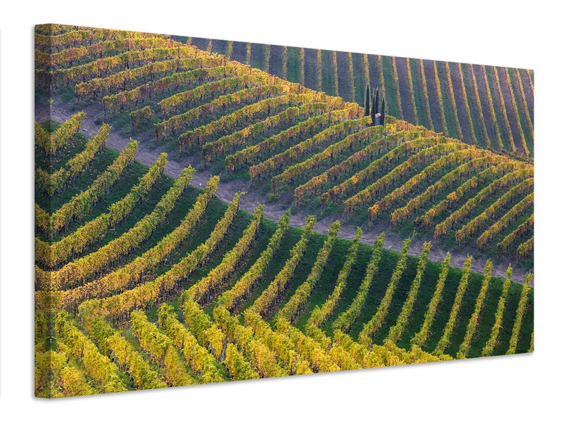 canvas-print-vineyards-x