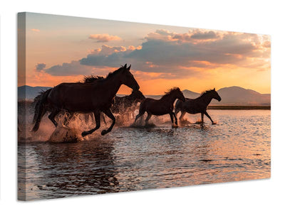 canvas-print-water-horses-x