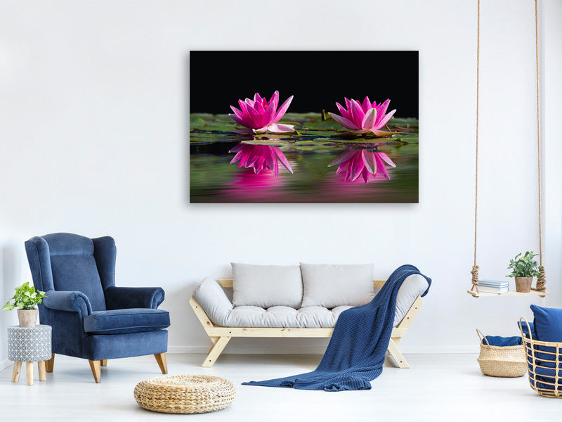 canvas-print-water-lilies-duo-in-pink