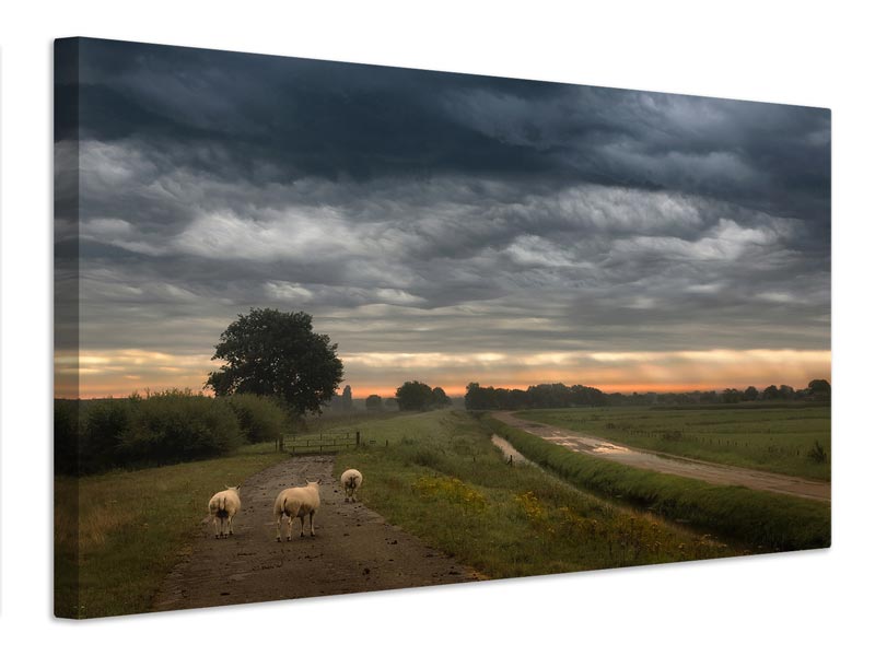 canvas-print-waving-clouds-x