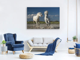 canvas-print-white-horses-x