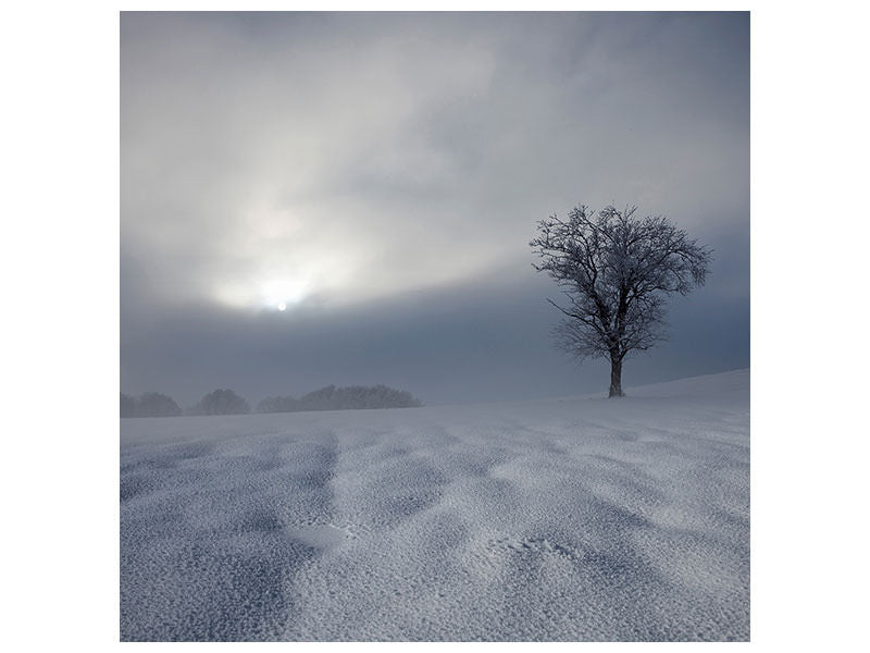 canvas-print-winter-impression