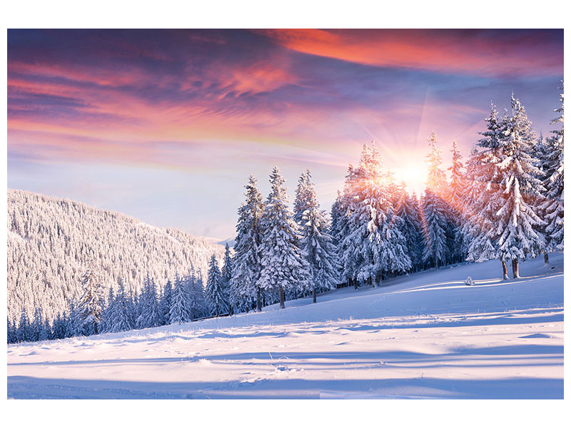 canvas-print-winter-landscape