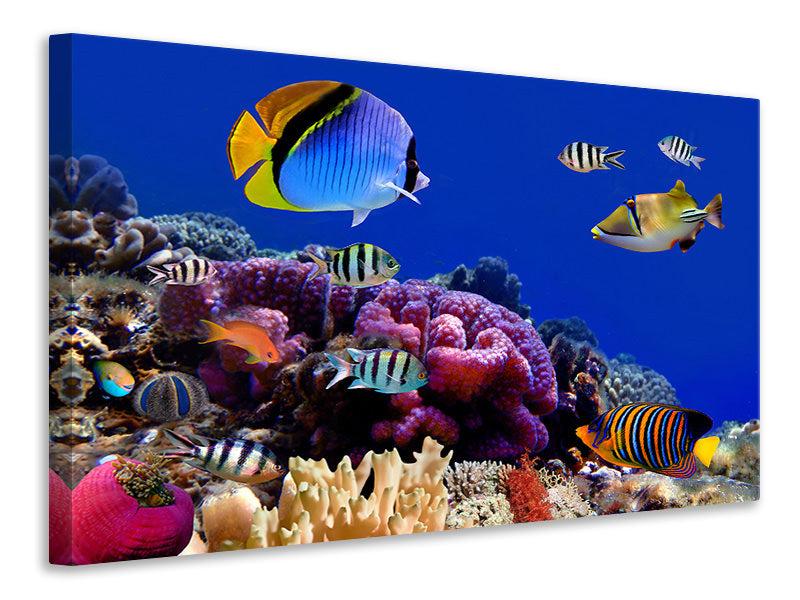 canvas-print-world-of-fish