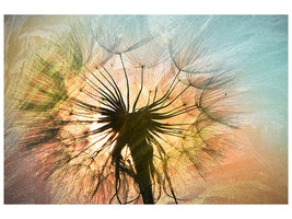 canvas-print-xxl-dandelion