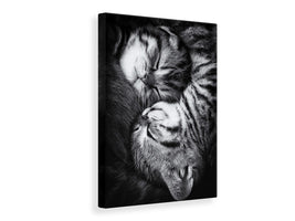 canvas-print-yin-and-yang