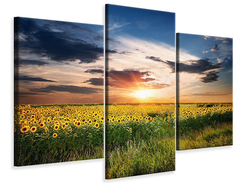 modern-3-piece-canvas-print-a-field-of-sunflowers