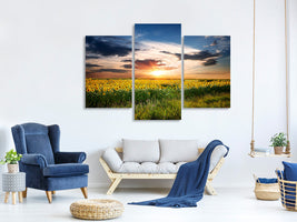 modern-3-piece-canvas-print-a-field-of-sunflowers