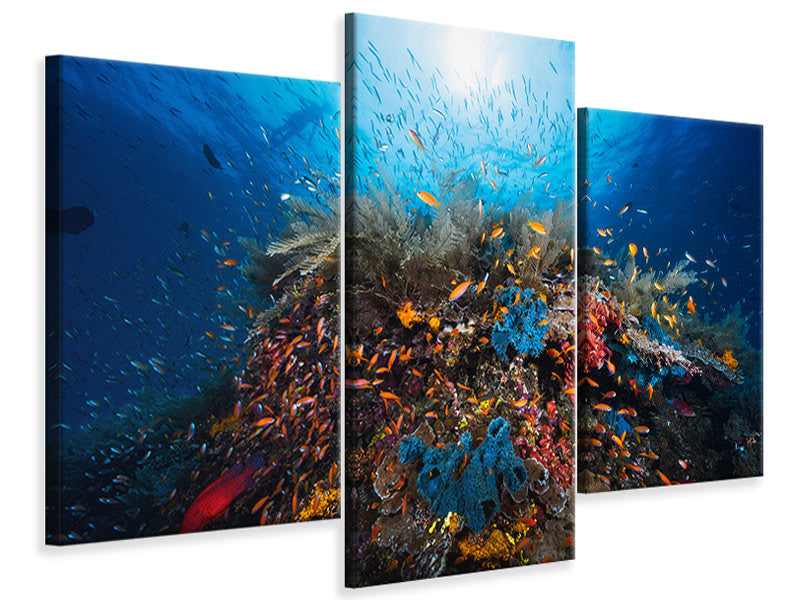 modern-3-piece-canvas-print-apnea