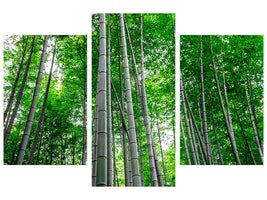 modern-3-piece-canvas-print-bamboo-forest