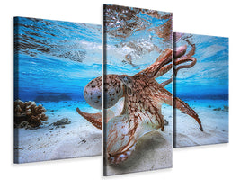 modern-3-piece-canvas-print-dancing-octopus