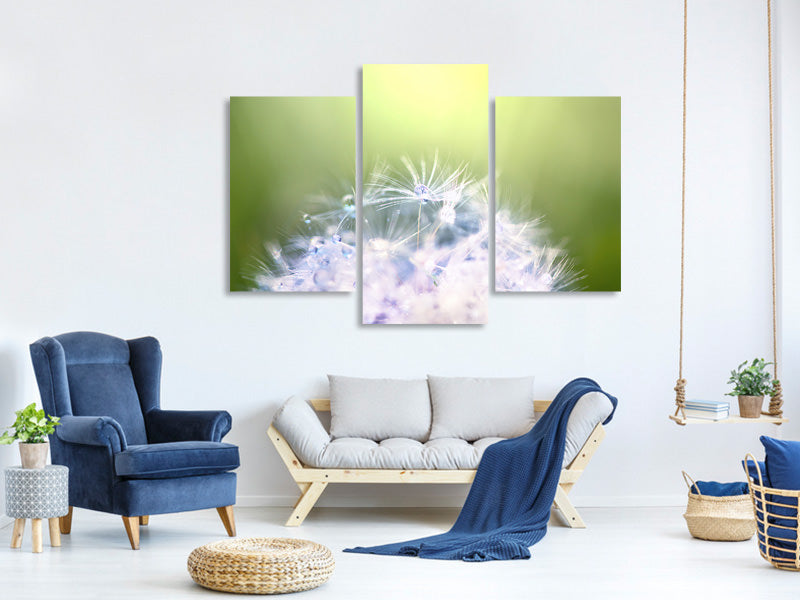 modern-3-piece-canvas-print-dandelion-xl-in-morning-dew