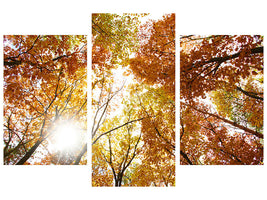 modern-3-piece-canvas-print-enlightened-autumn-trees