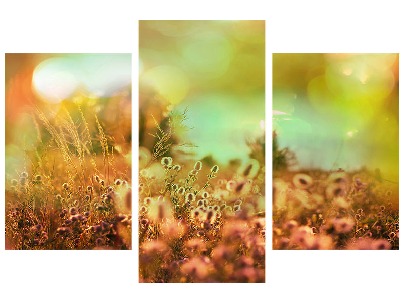 modern-3-piece-canvas-print-flower-meadow-at-twilight