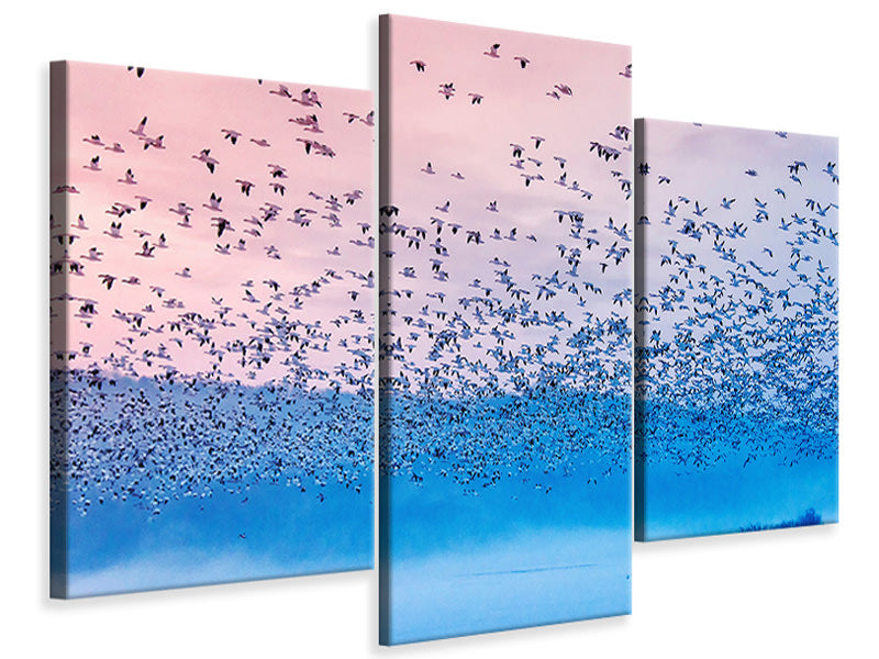 modern-3-piece-canvas-print-flying-in-the-fogging-morning