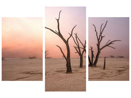 modern-3-piece-canvas-print-fog-in-deadvlei