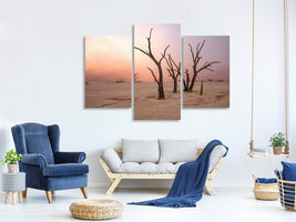 modern-3-piece-canvas-print-fog-in-deadvlei