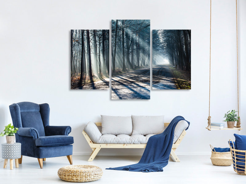 modern-3-piece-canvas-print-forest-in-the-light-beam