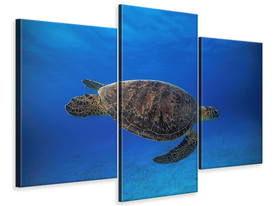 modern-3-piece-canvas-print-green-turtle-in-the-blue