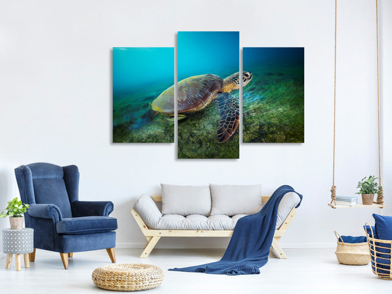 modern-3-piece-canvas-print-green-turtle