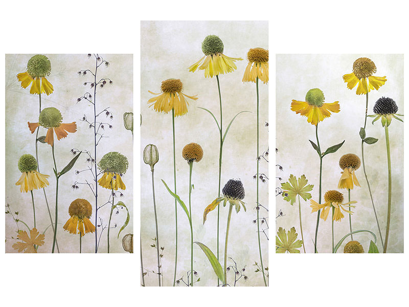 modern-3-piece-canvas-print-helenium