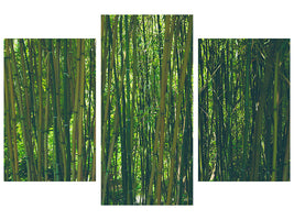 modern-3-piece-canvas-print-in-the-middle-of-the-bamboo